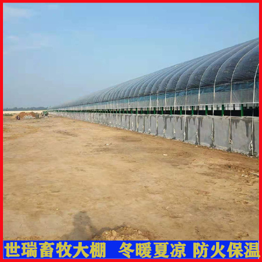 养殖大棚 承建养牛大棚建设工程养牛场牛棚施工规划牛舍安装