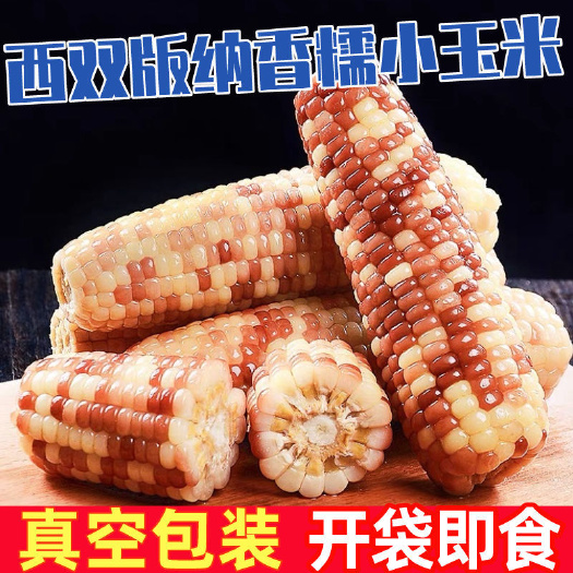 景洪市云南西双版纳甜糯玉米新鲜糯玉米真空包装即食减脂粘玉米新鲜甜糯