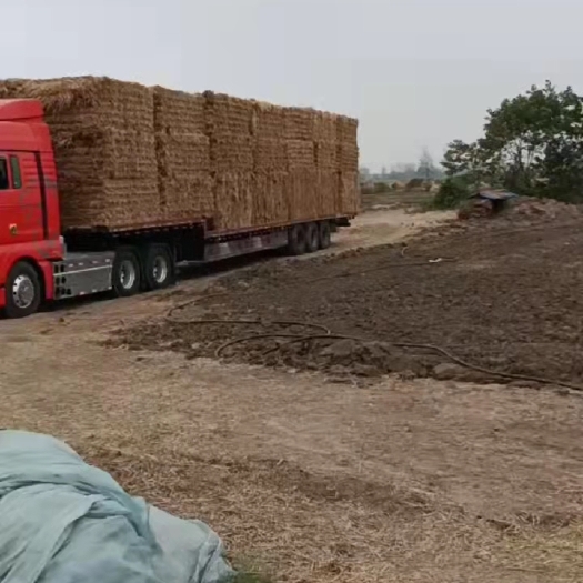灵璧县 小麦秸秆