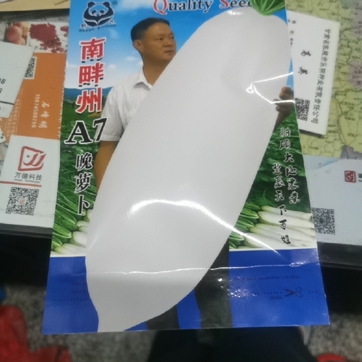 白萝卜种子晚萝卜九斤王春不老清甜可口消渴健脾利湿营养丰富