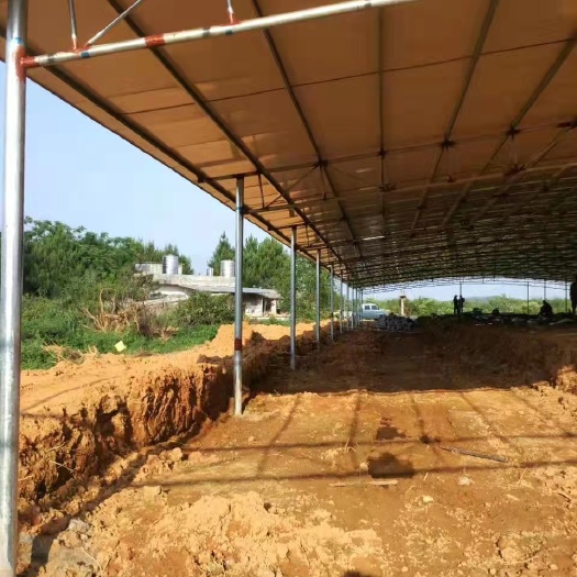 北流市种植大棚  承接大小电焊搭棚，定做焊接铁架、铁棚，猪栏、鸡栏、菜棚