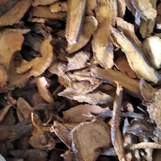 虎杖片 虎杖段子批发零售