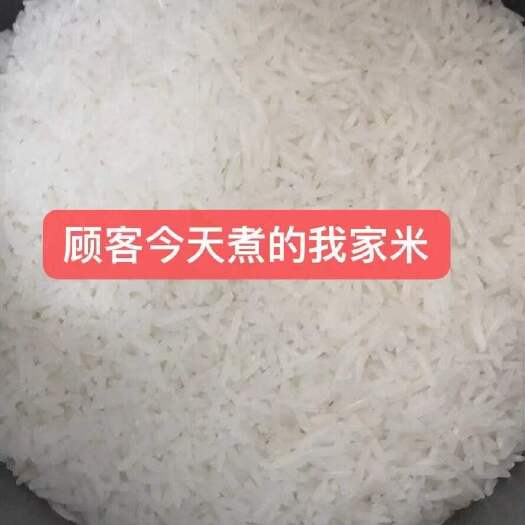 洞口县优质晚稻香米