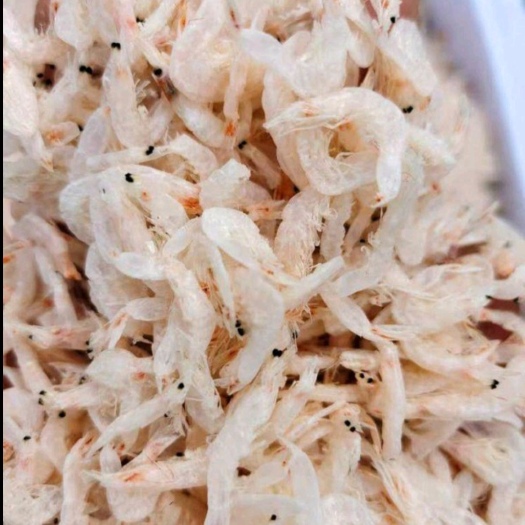 日照无盐淡干虾皮,不咸，干度好
