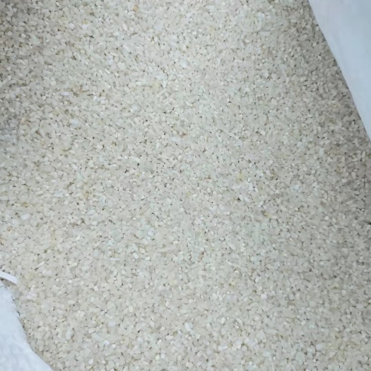 上海禾谷饲料 上海港大量供应印度碎米  巴基斯坦碎米