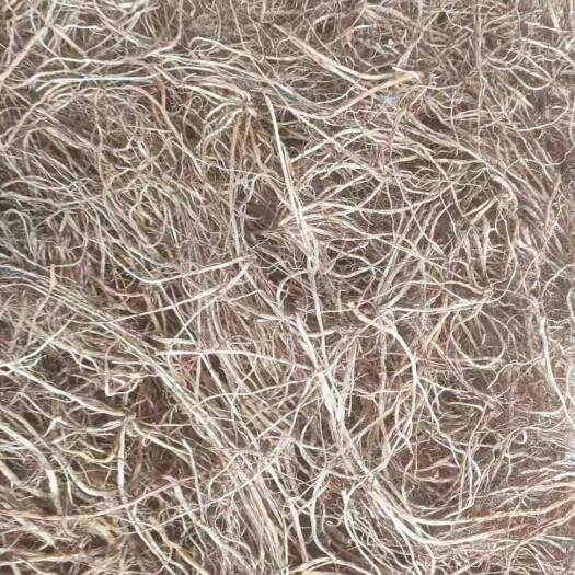 清原县龙胆草  北龙胆草含量足 统货干货 各种规格 产地直销