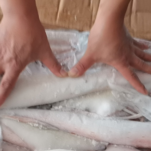 合浦县皮皮虾
