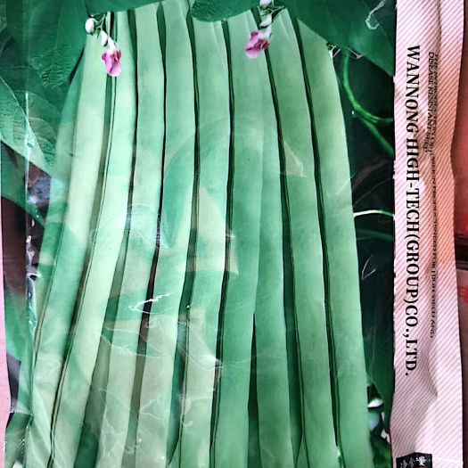 四季豆种子，结荚率高,鲜食为主,较耐热，种子棕色肾形