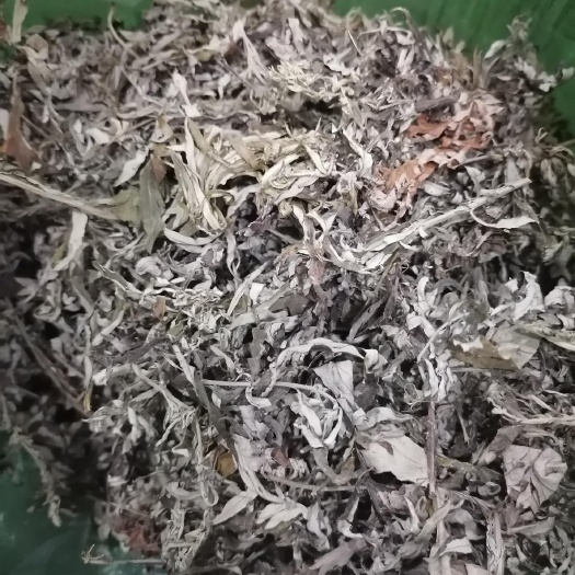 威宁县【多仓发货】艾草 老艾叶泡脚 薄利多销 当天发货 质量保证