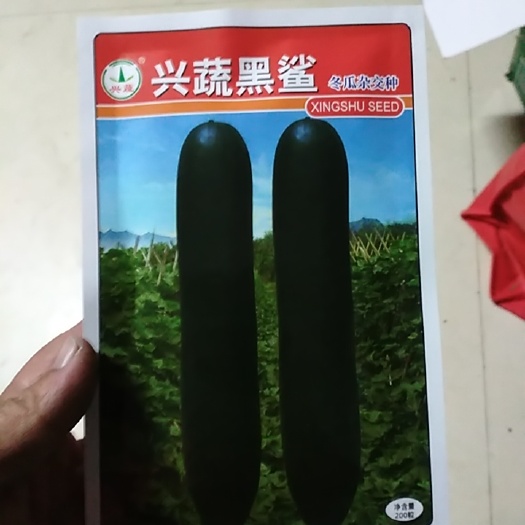 宜城市兴蔬黑鲨冬瓜种子，兴蔬墨地龙冬瓜种子，南瓜，西瓜，甜瓜