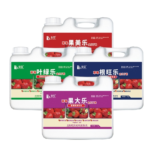 长葛市必互草莓专用套餐冲施肥