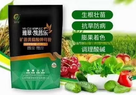 新郑市矿源黄腐酸钾