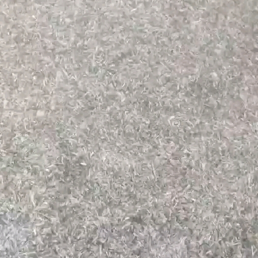 桓仁县出售白茬苍术种子