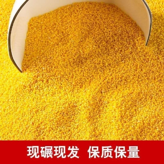 2024年新货山西沁州黄小米 月子米袋装五谷杂粮黄小米