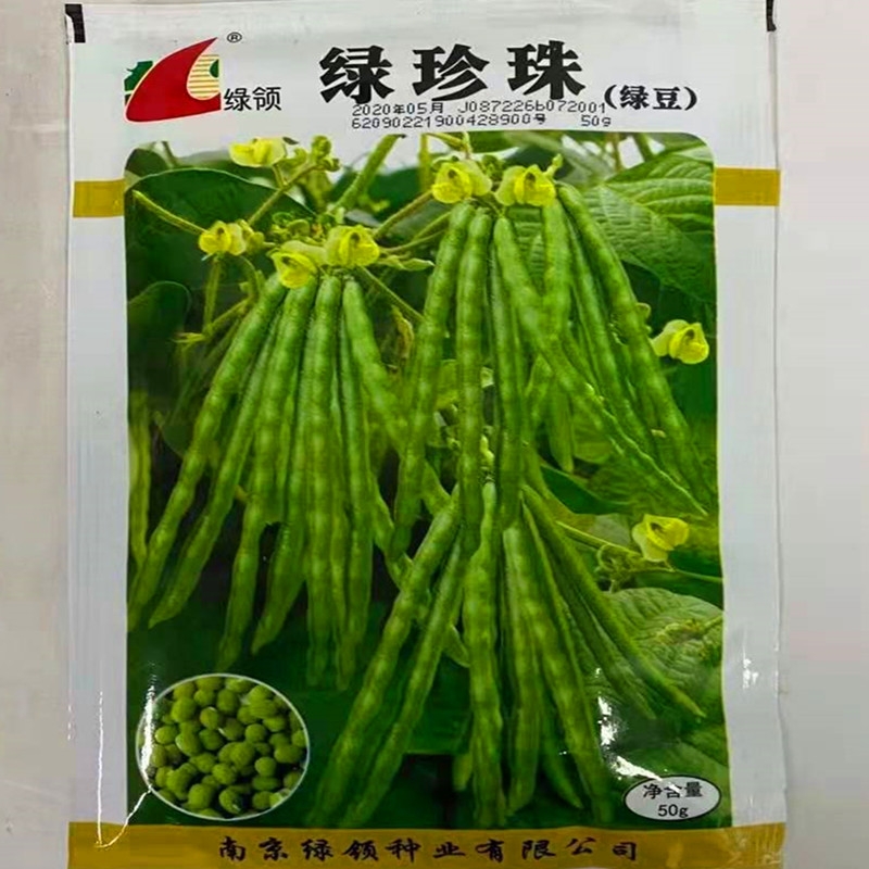余干县绿领绿珍珠绿豆种子