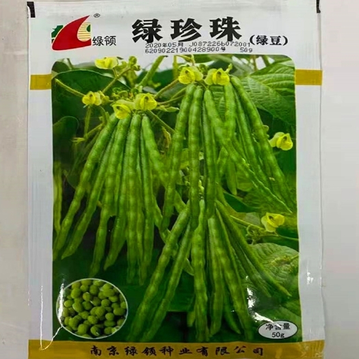 绿领绿珍珠绿豆种子