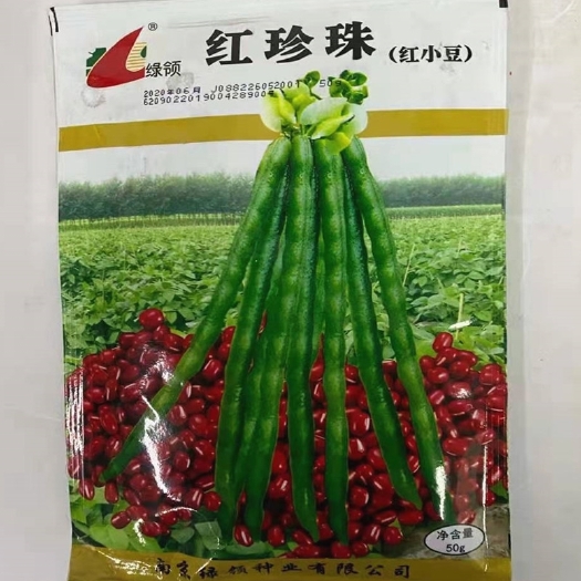 赤豆种子  绿领红珍珠红小豆种子，红豆种子