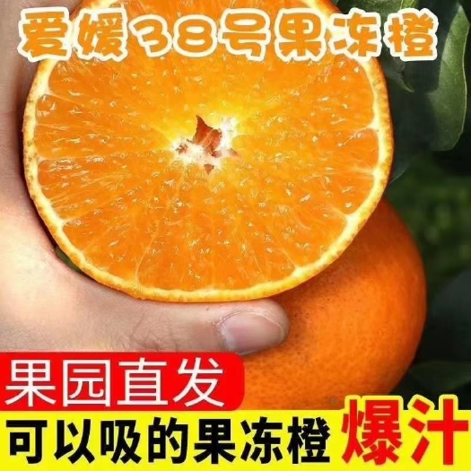 【顺丰快递包邮】四川爱媛果冻橙8斤装甜蜜多汁新鲜水果包邮