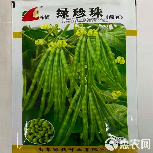 绿领绿珍珠绿豆种子