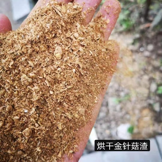 正定县蘑菇废料 金针菇渣 山东上车