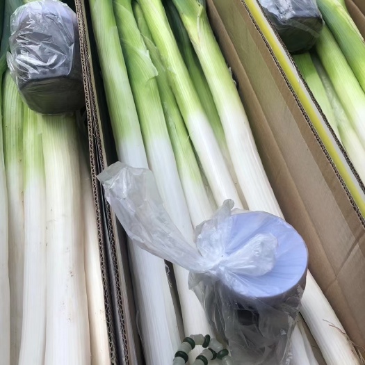 济南长白大葱 章丘大葱，老父亲30年种葱经验，培育正宗章丘大葱，假一赔十。