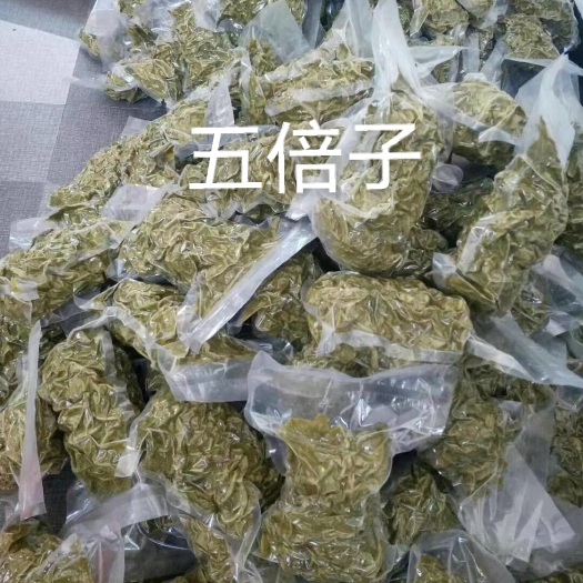 临汾 山西 霍山野菜