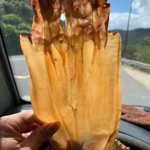 霞浦县淡晒鱿鱼干500g特级家用炒菜煲汤海鲜