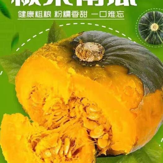 宿迁 【超低价】正宗板栗南瓜非贝贝南瓜当季粉糯甜新鲜老南瓜整箱包邮