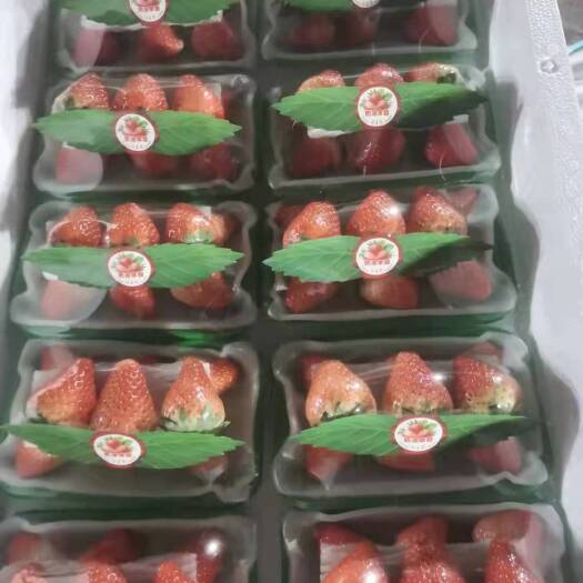 徐州妙香 宁玉精品奶油草莓可供电商 商超 市场有需要的可以联系