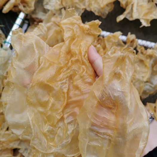 汕头花胶 自家洗晒越南蜘蛛胶，斤26头足干货，清水干身无油，肉质特有韧