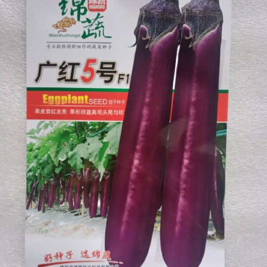 祁阳市 绵蔬广红茄5号茄子种子果皮紫红发亮果形顺直美观净含量200粒