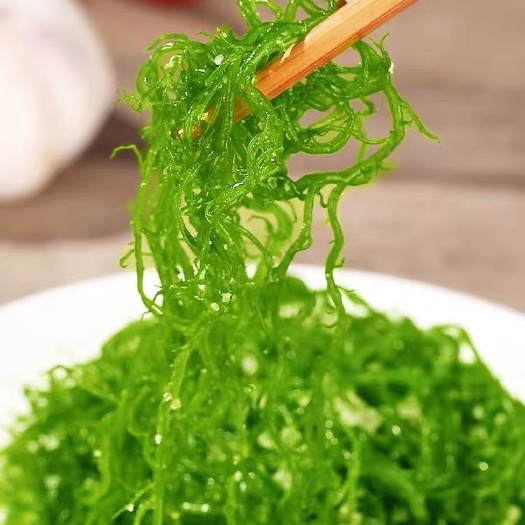 霞浦县龙须菜凉菜火锅菜霞浦特产凉拌菜头发菜