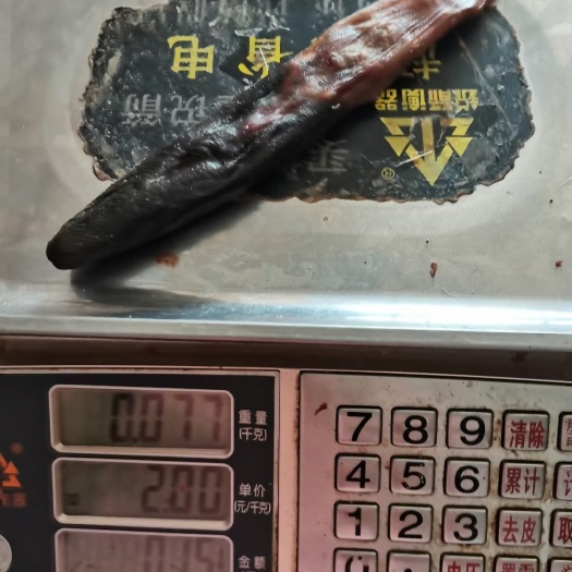 梅花鹿干鹿尾正品梅花鹿尾巴泡酒都可以 吉林梅花