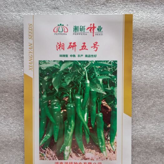 祁阳市 湘研五号辣椒种子中熟长牛角型辣椒种子长且直肉厚辣而不烈耐热