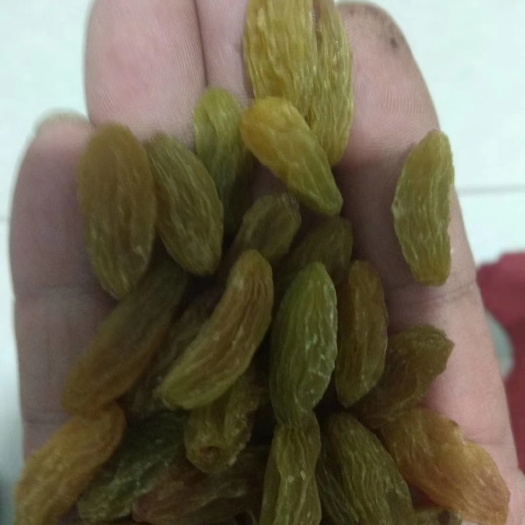 吐鲁番吐鲁番市 绿宝石葡萄干 产地发货