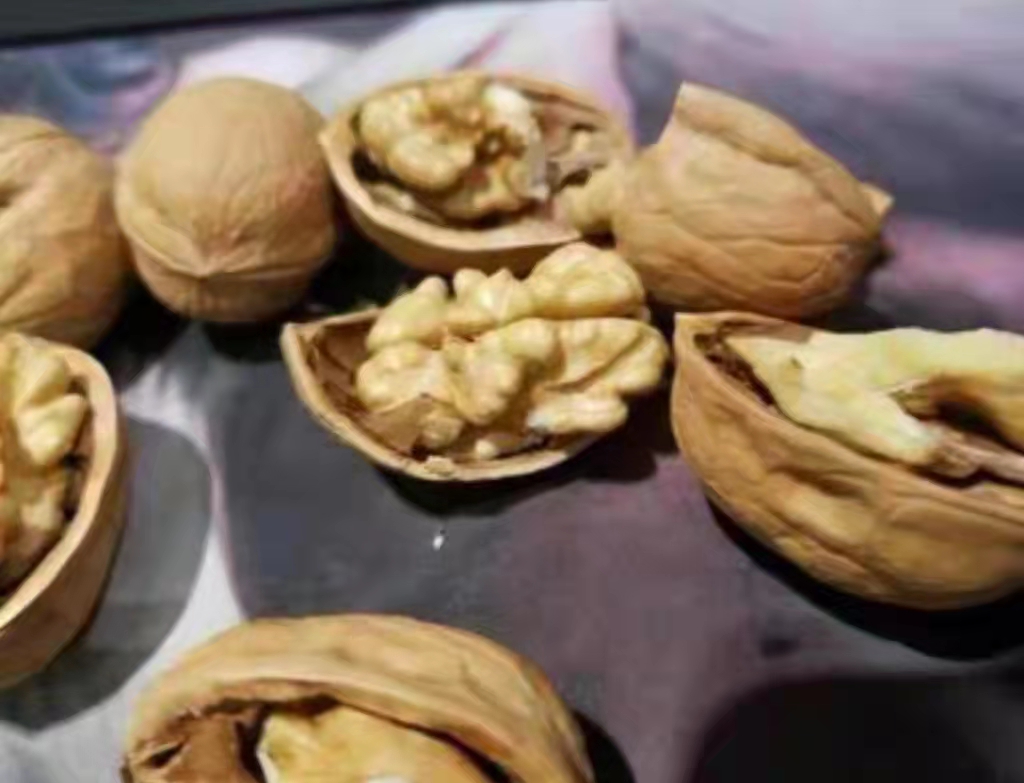 今年新货农户自产批发新疆185纸皮核桃新疆特产坚果