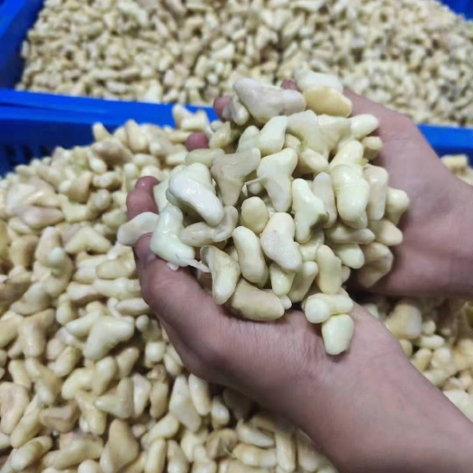张家港市 2021新鲜菱角米 去壳去皮野生菱角米 小菱角米餐饮特色食材