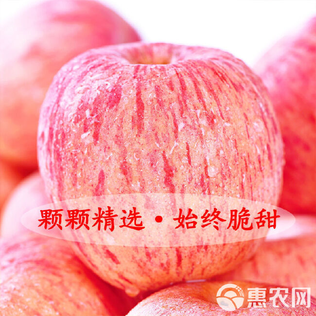 冰糖心丑苹果10/5斤当季水果脆甜红富士苹果整箱包邮