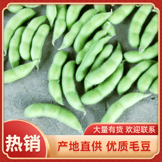 博白县广西精品新鲜毛豆  产地直供品质好价格便宜  货源充足