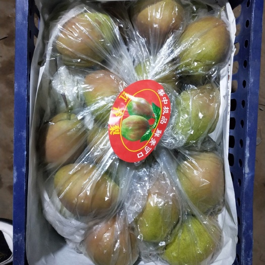 晋州市香梨 红香酥
