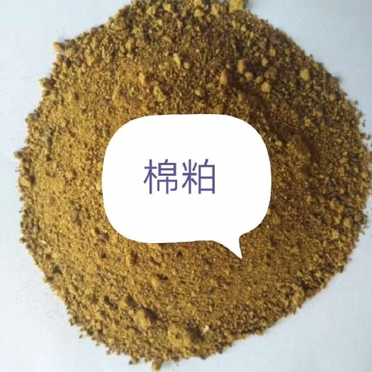 夏津县 棉粕