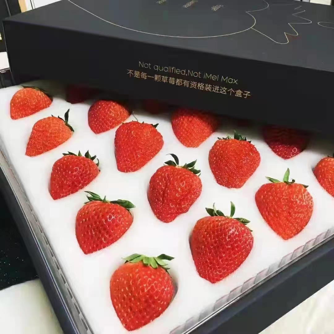 東港市紅顏草莓  丹東東港紅顏九九牛奶草莓真空包裝個大 口感甜 歡