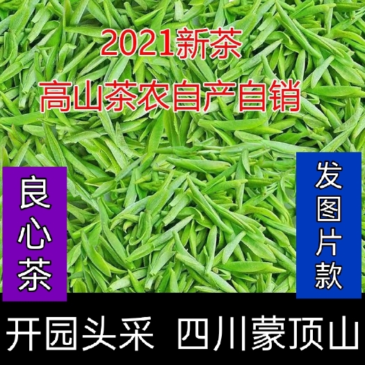 荣县 茶  绿茶雅安茶叶 精选明前雀舌<米芽>