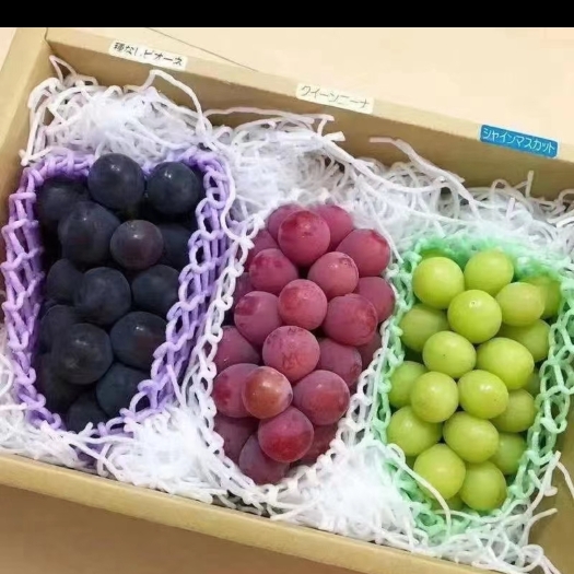 咸阳巨峰葡萄苗 葡萄苗阳光玫瑰