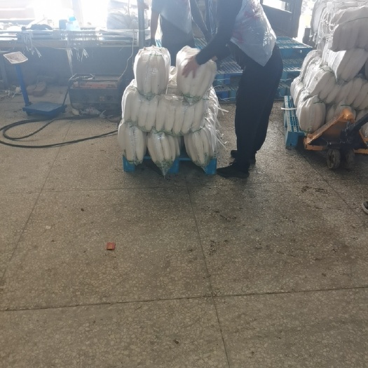天门市 白萝卜