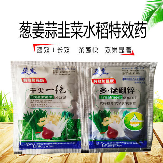 闽侯县干尖一绝 干尖灵葱姜蒜韭菜干尖专用调理剂A+B组合套装叶面肥