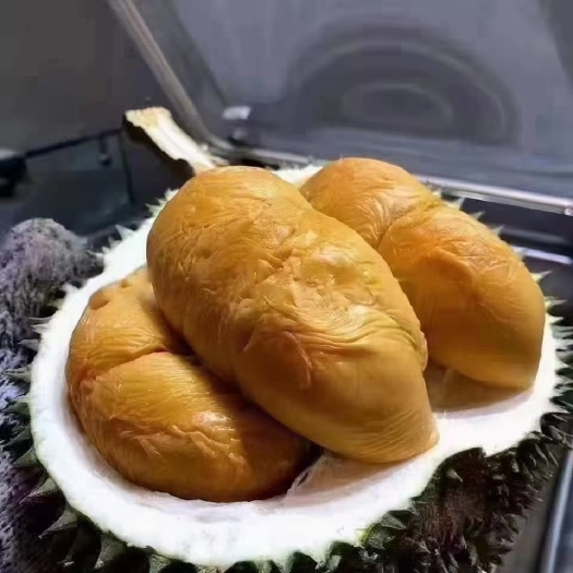 广州马来西亚冷冻榴莲D200黑刺，精品果