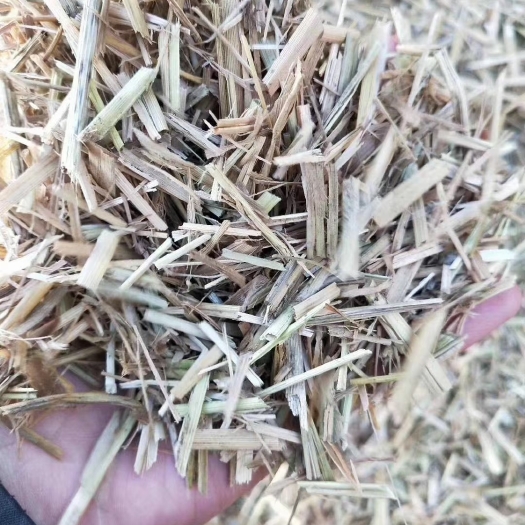 天津 稻草 柔丝稻草 粉碎稻草 牛羊饲料稻草