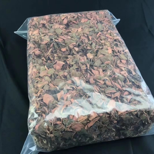 和平县金线莲红霞干品 整株全株排版 纯货不参碎