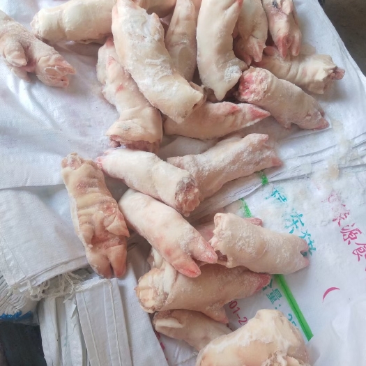 商丘母猪前后混装带筋猪蹄